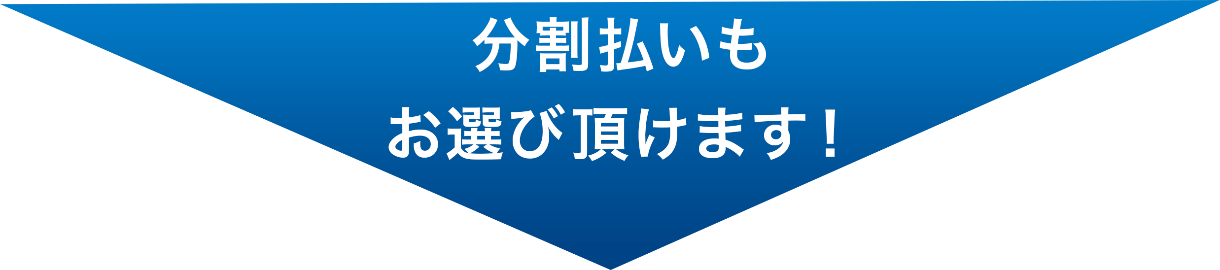 分割払いもお選び頂けます!