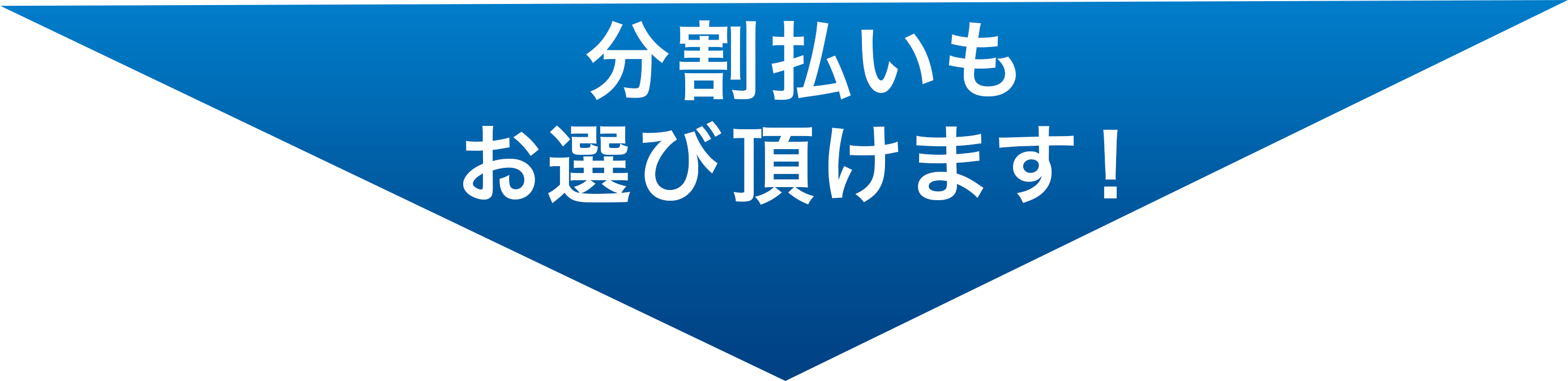 分割払いもお選び頂けます!